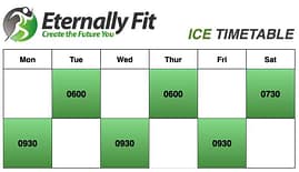 ICETimetable