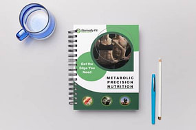 MP Manual on Desk